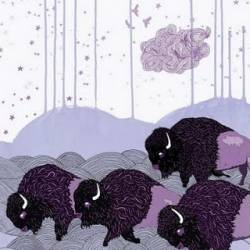 Shels : Plains of the Purple Buffalo